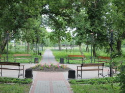 В Воронежской области начали поиск подрядчика для благоустройства сквера в селе Терновка 