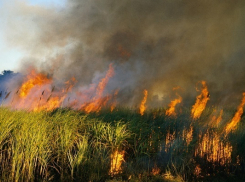 За прошедшие сутки в Воронежской области произошло 17 ландшафтных пожаров 