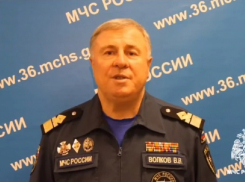 В МЧС обратились к жителям Воронежской области после гибели ребёнка на реке