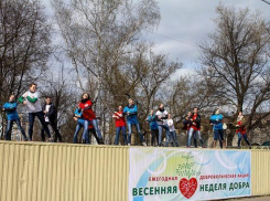 180 добровольцев  поддержали акцию «Весенняя неделя добра» в Борисоглебске