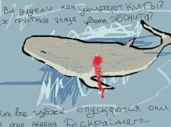 За кем плывёт «синий кит» в Борисоглебске?