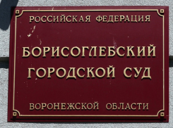 В Борисоглебский суд назначена новая судья 