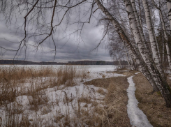 Хмурая и не весенняя погода ожидает борисоглебцев на короткой рабочей неделе