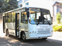 С барского плеча. Москва подарит Воронежской области 36 отработавших свое автобусов