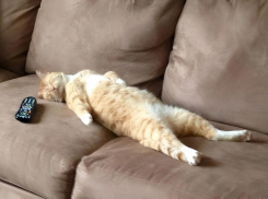 Увеличенные выходные и сокращенная рабочая неделя ожидают россиян в феврале