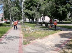 В 2023 году в Борисоглебске улучшат городскую среду 