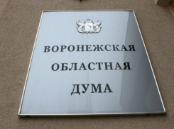 Депутаты Воронежской облдумы продлили меры социальной поддержки в регионе