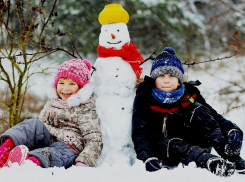 Стало известно, когда начнутся зимние каникулы в школах Воронежской области