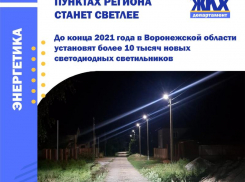 Более 900 современных светодиодных светильников появятся на сельских улицах Грибановского, Новохоперского и Терновского районов