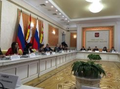 В 2020 году состав Воронежской облДумы должен поменяться наполовину