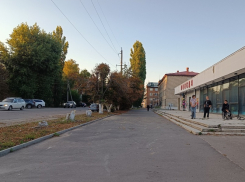 Почему спилили каштаны у кинотеатра «Победа» в Борисоглебске