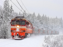 Новогодние каникулы начнутся в Воронежской области с подорожания проезда в пригородных поездах