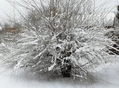 Рабочая неделя в Борисоглебске начнется с похолодания и мощного снегопада