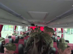 30 воронежских бойцов вернулись из украинского плена