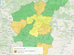 Оранжевый уровень погодной опасности объявили в Воронежской области