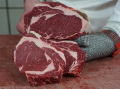 В Воронежскую область с мясом привезли африканскую чуму свиней