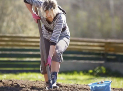 Минтруд увеличит сельским женщинам рабочий день 