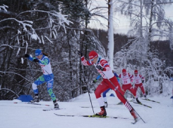 Борисоглебцы показали высокие результаты на Чемпионате и Первенстве Воронежской области по лыжным гонкам