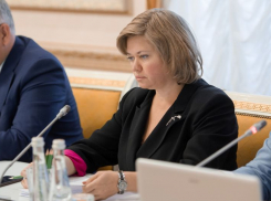 Глава департамента экологии рассказала про отстрел кабанов в Воронежской области