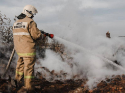 Стало известно о новом ухудшении ситуации с пожарами в Воронежской области