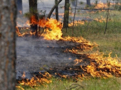 Оранжевый уровень опасности объявили в Воронежской области из-за угрозы пожаров