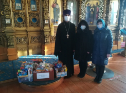 В Борисоглебске педагоги детского сада и родители их воспитанников помогли подарить чудо детям