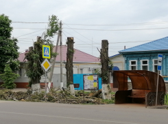  Борисоглебску тоже не помешает: в столице Черноземья предложили ввести крупные штрафы за порчу деревьев при выполнении строительных работ