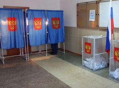 В Воронежской области следить за голосованием по поправкам в Конституцию будет рекордное количество общественников