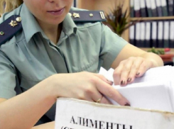 На «Госуслугах» появился  список должников по алиментам 