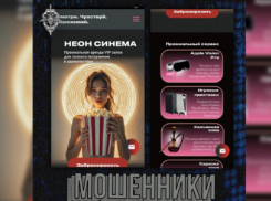 Жителей Воронежской области предупредили о мошенничестве с круглосуточным кинотеатром