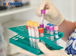 Шесть покорителей Москвы и еще 19 человек заразились Covid-19 в Воронежской области