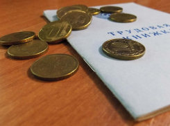 «Мнимых» бедных лишат господдержки