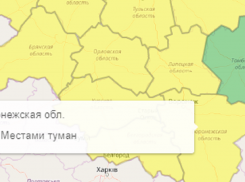 Желтый уровень опасности ввели в Воронежской области из-за тумана 