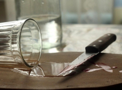 Жителя Поворинского района будут судить за жестокое убийство брата