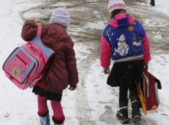 Борисоглебские школьники вернутся к учебе уже в понедельник