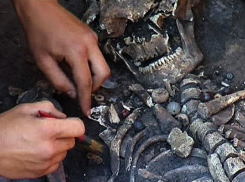 В Воронежской области археологами найдены уникальные древние захоронения