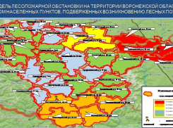 Борисоглебск остается в «красной зоне» пожарной опасности
