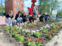 В Борисоглебске появился «Цветник Победы»