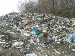 Очередную несанкционированную свалку обнаружили в Борисоглебском районе инспекторы Россельхознадзора
