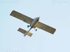 В Воронежской области при сельхозработах разбился самолет «Бекас»