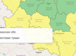 Опасный туман накроет Воронежскую область