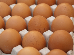 А тем временем цена на яйца в Воронежской области выросла еще на 7%