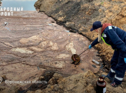 На предпринимателя, устроившего опасную помойку в Терновке, подали в суд