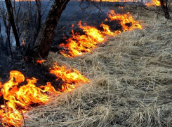 Спасатели объявили открытым сезон ландшафтных пожаров в Воронежской области