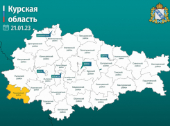 В соседних с Воронежской областью Курске и Белгороде до 4 февраля продлен  повышенный уровень  террористической опасности