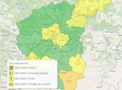 Оранжевый уровень опасности объявили из-за погоды в Воронежской области