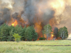 Штормовое предупреждение из-за жары и  пожарной опасности на востоке Воронежской области объявили спасатели