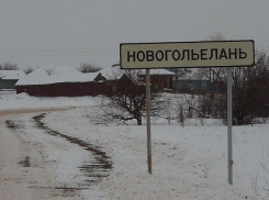 В центре села Новогольелань Грибановского района построят сквер