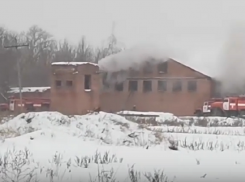 Пожар в Борисоглебском районе «Черемушки» попал на видео