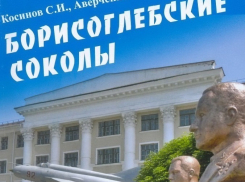В Борисоглебской городской библиотеке состоится презентация книги о героях-выпускниках Борисоглебского летного училища
